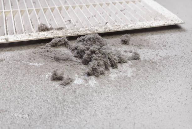 Best Duct Cleaning Specialists  in Parkland, WA