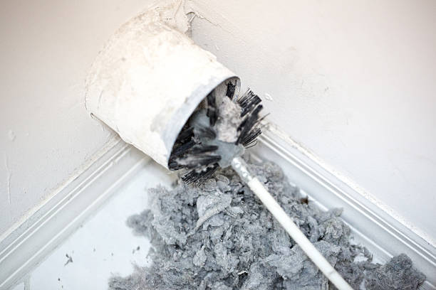 Best Emergency Air Duct Cleaning  in Parkland, WA