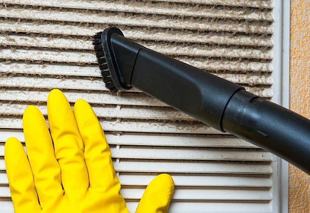 Best Local Air Duct Cleaning Services  in Parkland, WA
